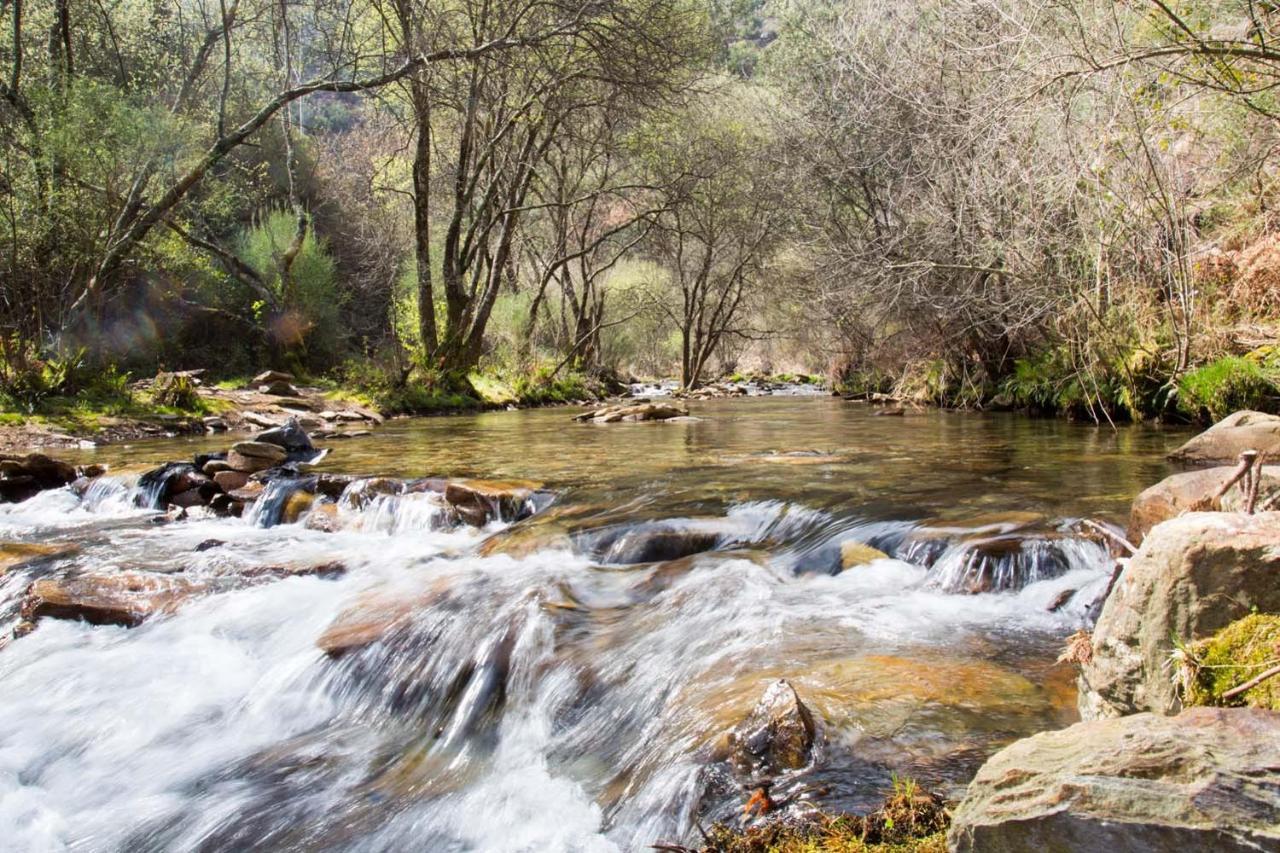 O Refugio Do Mineiro Leilighet Arouca Eksteriør bilde