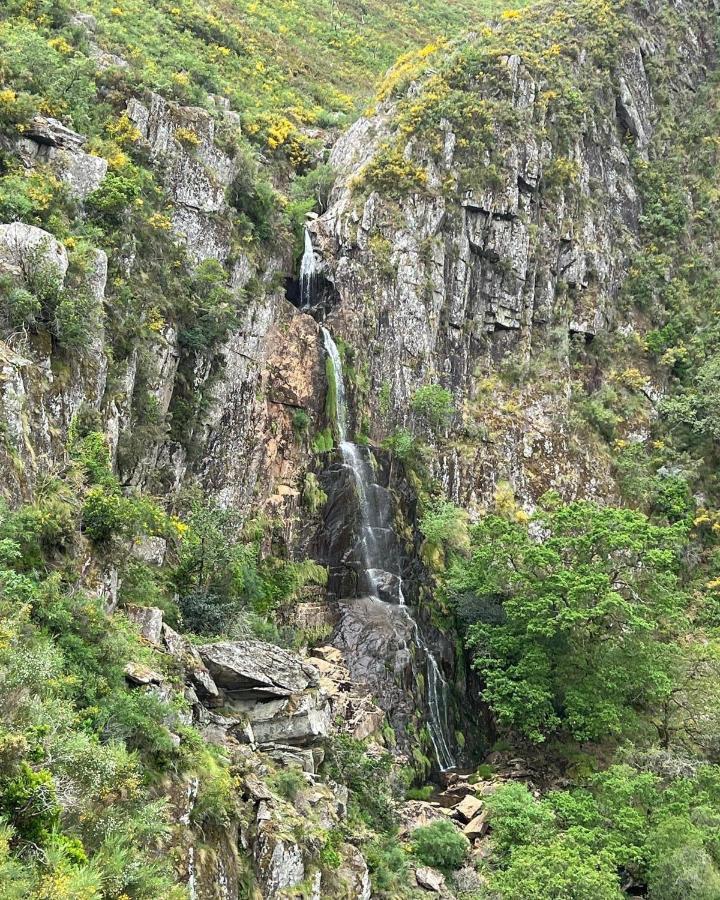 O Refugio Do Mineiro Leilighet Arouca Eksteriør bilde