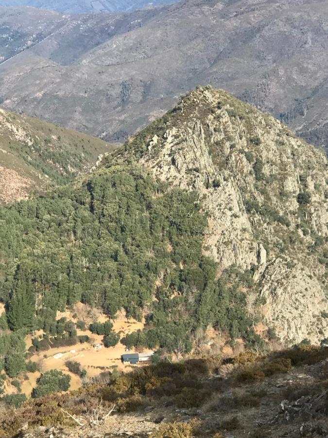 O Refugio Do Mineiro Leilighet Arouca Eksteriør bilde