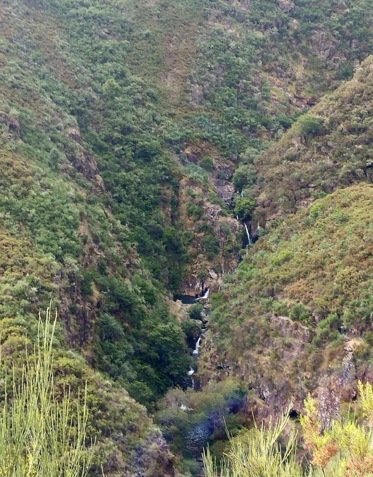 O Refugio Do Mineiro Leilighet Arouca Eksteriør bilde