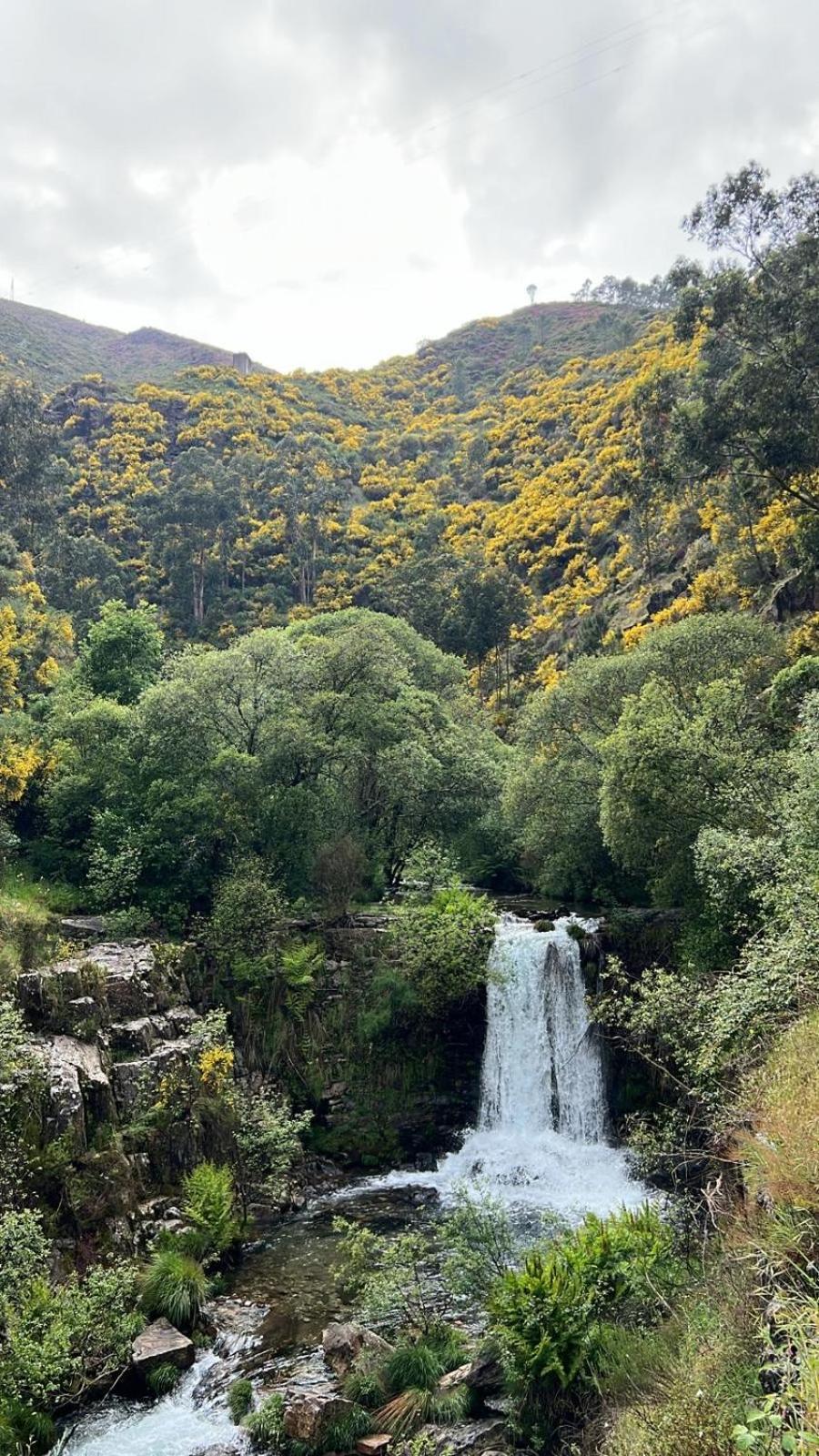 O Refugio Do Mineiro Leilighet Arouca Eksteriør bilde